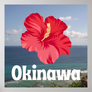 Okinawa Schilderachtig Uitzicht en Hibiscus Poster