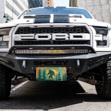 Oklahoma Bigfoot-sasjokkerende staatssymbool aanpa