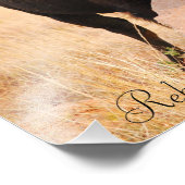 Oklahoma Bison, Rebecca Alsbury Photographie 2011 (Coin)