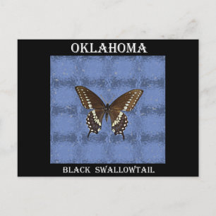 Oklahoma Black Swallowtail Butterfly Briefkaart