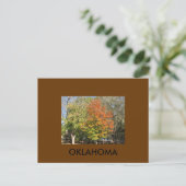 OKLAHOMA BRIEFKAART (Staand voorkant)