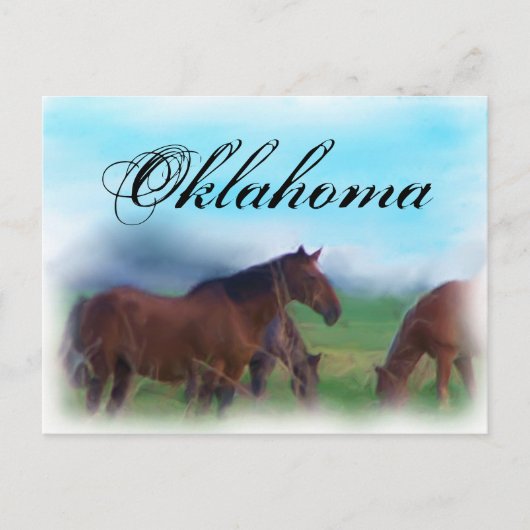 Oklahoma horses briefkaart (Voorkant)