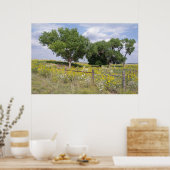 Oklahoma Land Poster (Keuken)