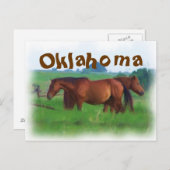 Oklahoma paarden 2 briefkaart (Voorkant / Achterkant)