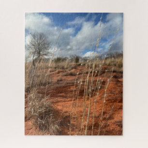 Oklahoma Prairie Puzzel (Splitbard en Sandstone)