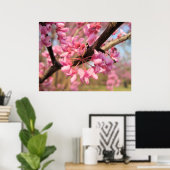 Oklahoma Redbud Blossom II Print (Thuiskantoor)