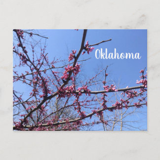 Oklahoma Redbud-Briefkaart Briefkaart