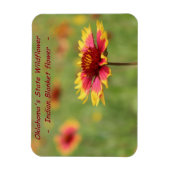 Oklahoma State Wildflower Magnet Magneet (Verticaal)