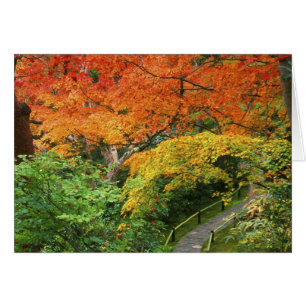 Okochi Sanso, Arashiyama, Kyoto, Japon 2