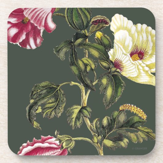 Okra Bier Onderzetter (Voorkant)