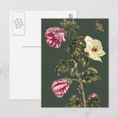 Okra Briefkaart (Voorkant / Achterkant)