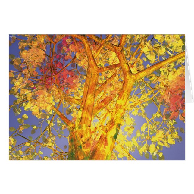 Oktober (Voorkant Horizontaal)