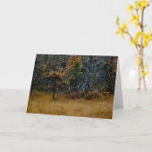 "Oktober" Adirondack Forest and Trees Scene Kaart (Gele Bloem)