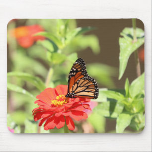 Oktober Monarch Muismat
