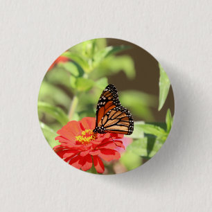 Oktober Monarch Ronde Button 3,2 Cm