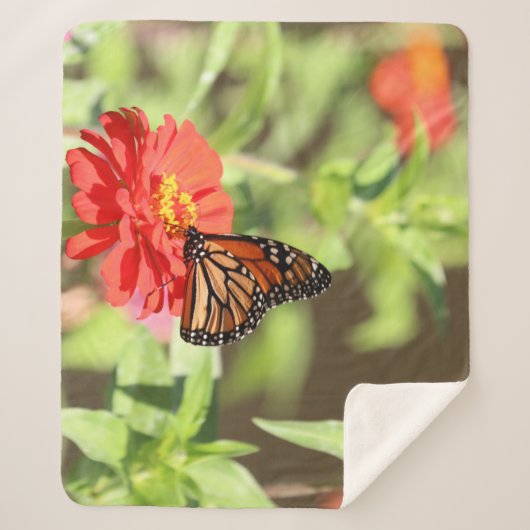 Oktober Monarch Sherpa Deken (Voorkant)