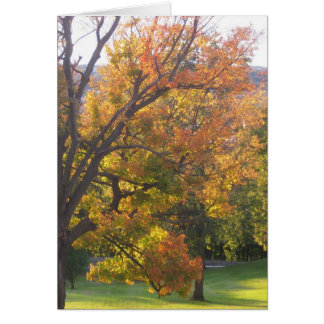 Oktober suikermonster