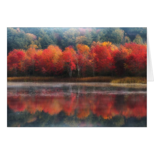 Oktober Trees (Voorkant Horizontaal)