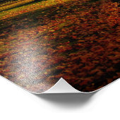 "Oktoberschijn" Foto Afdruk (Hoek)