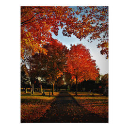 "Oktoberschijn" Foto Afdruk