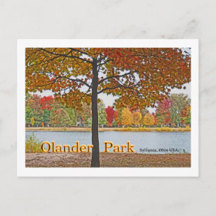 Olander Park, Sylvania, Ohio USA/Autumn Colors Briefkaart