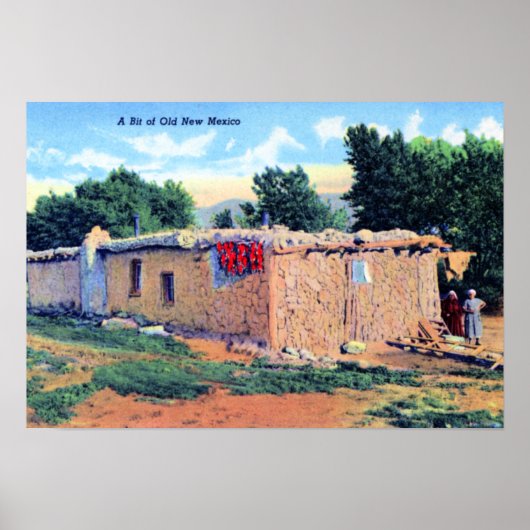 Old Adobe House New Mexico Poster (Voorkant)