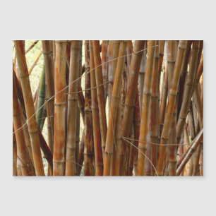 Old Bamboo