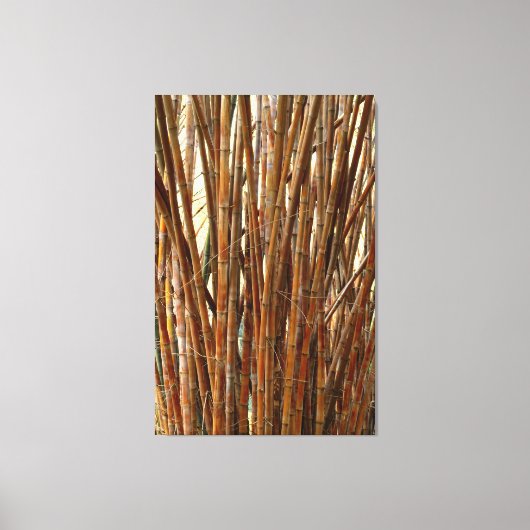Old Bamboo Canvas Afdruk (Voorkant)