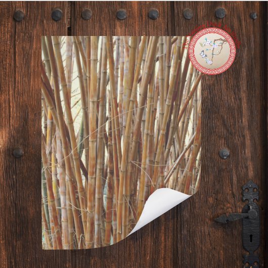 Old Bamboo Poster