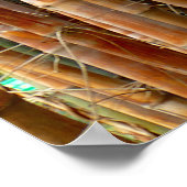 Old Bamboo Poster (Hoek)