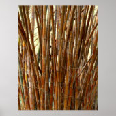 Old Bamboo Poster (Voorkant)