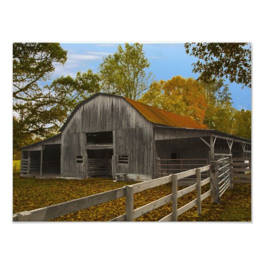 Old Barn Foto Afdruk (Voorkant)