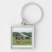 Old Barn Mail Pouch Tobacco Adverteren