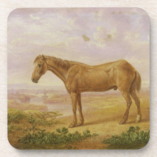 Old Billy, een Draft Horse, 62 jaar oud (olie op h Drankjes Onderzetter
