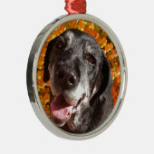 Old Black Labrador Metalen Ornament (Rechts)