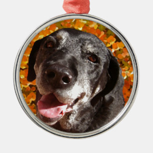 Old Black Labrador Metalen Ornament