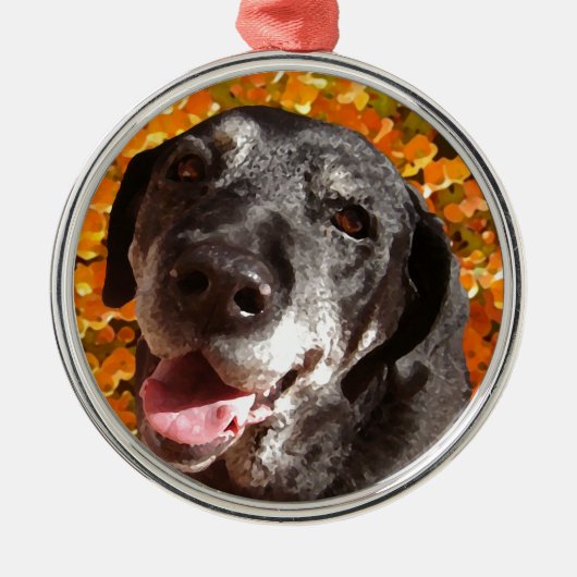 Old Black Labrador Metalen Ornament (Voorkant)