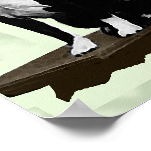 Old BostonTerrier Poster (Hoek)