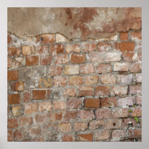 Old Brick Wall Poster