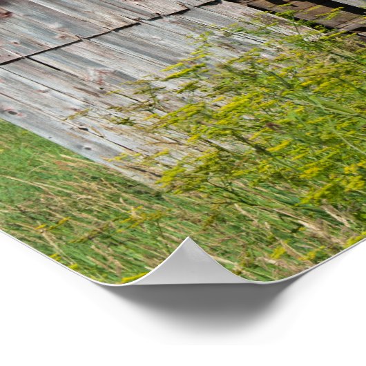 Old Broken Barn Poster (Hoek)