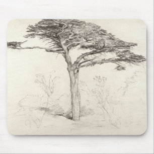 Old Cedar Tree in Botanic Garden, Chelsea, 1854 (p Muismat