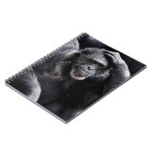 Old Chimpansee notitieboek (Linkerzijde)