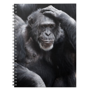 Old Chimpansee notitieboek