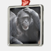 Old Chimpansee ornament (Links)
