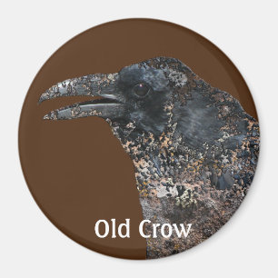 Old Crow Talking Canyons, New Mexico Magnet Magneet