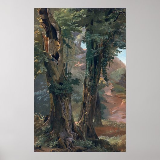 Old Elms, c.1835 Poster (Voorkant)