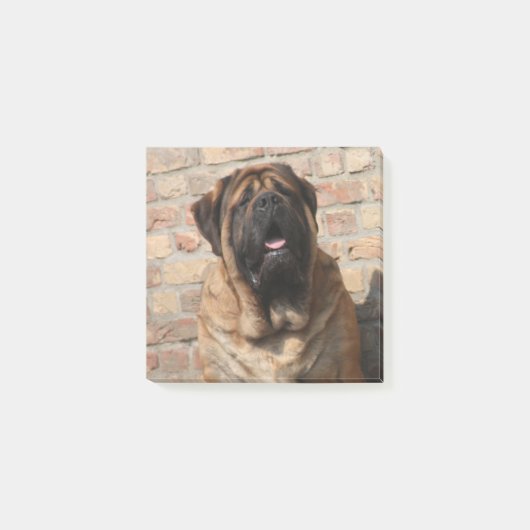 old english Mastiff     Post-it® Notes (Voorkant)
