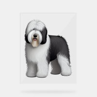Old English Sheepdog 10