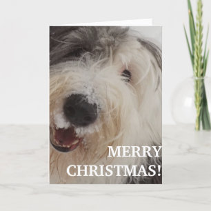 Old English Sheepdog Card - Merry Christmas Feestdagen Kaart