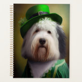 Old English Sheepdog en tenue de la Saint-Patrick (Devant)